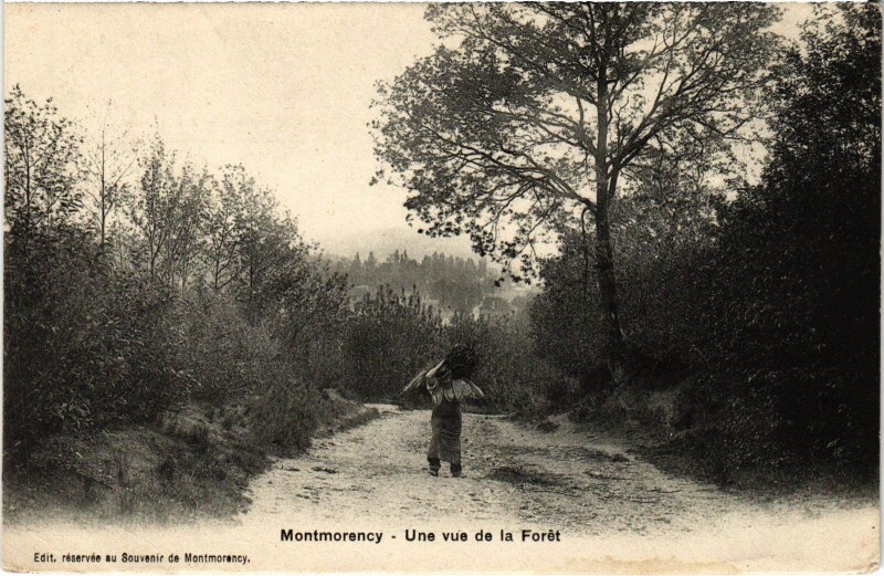 Carte postale ancienne Montmorency une vue de la Foret à Montmorency