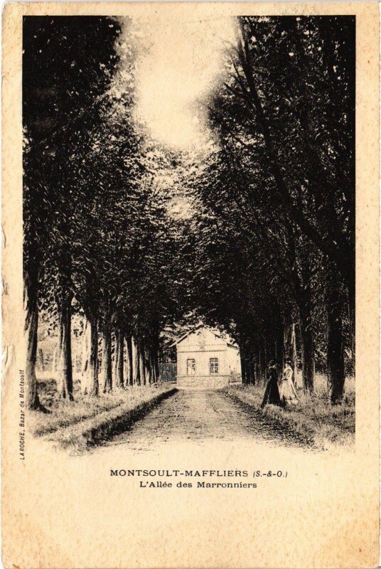 Carte postale ancienne Montsoult Allee des Marronniers à Montsoult