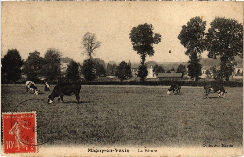 Carte postale ancienne Magny en Vexin La Pature à Magny-en-Vexin