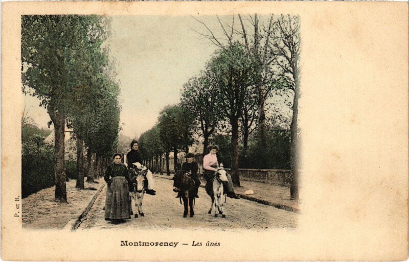 Carte postale ancienne Montmorency Les anes à Montmorency