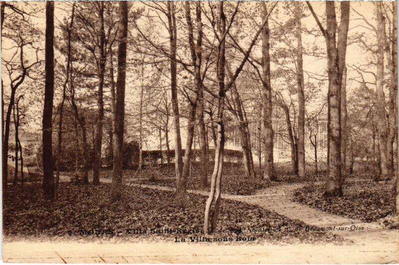 Carte postale ancienne Mours Villa Saint-Regis Villa sous Bois à Mours