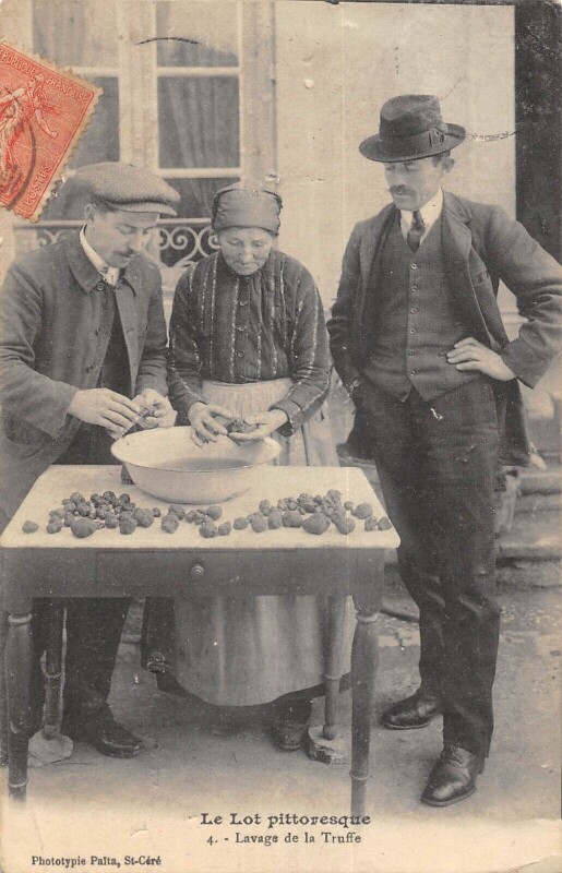 Carte postale ancienne Le Lot Pittoresque Lavage Des Truffes - Travail - Metier