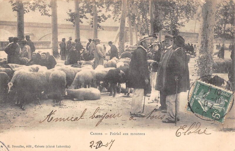 Carte postale ancienne Cahors Foirail Aux Moutons à Cahors