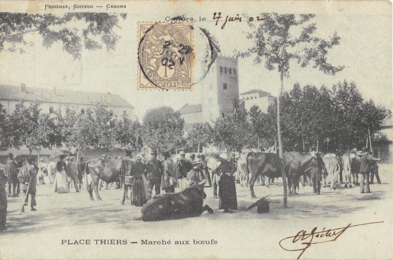 Carte postale ancienne Cahors Marche Aux Boeufs à Cahors