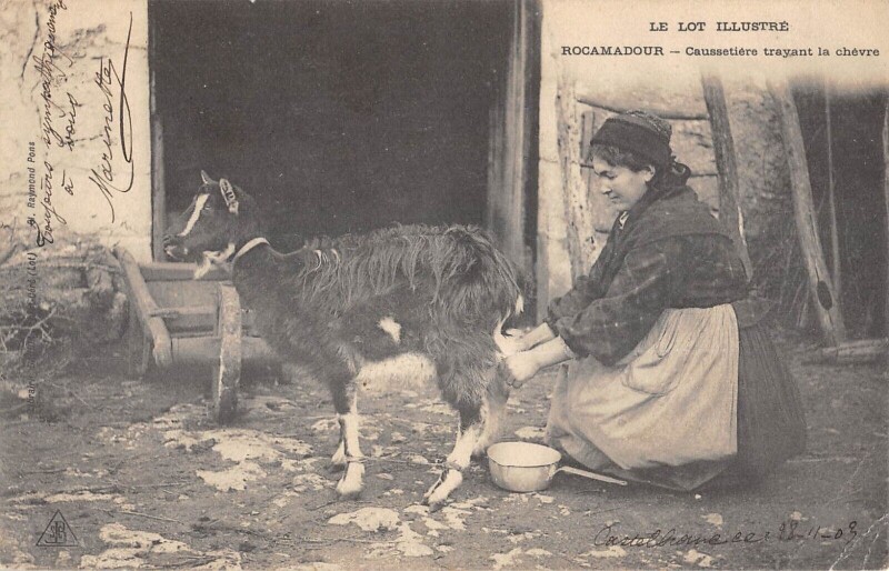 Carte postale ancienne Rocamadour Caussetiere Trayant La Chevre à Rocamadour