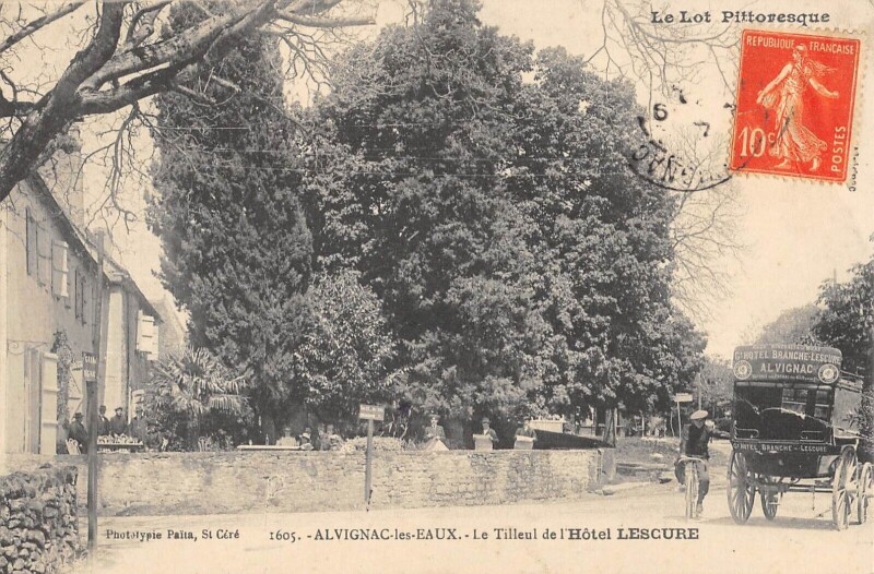 Carte postale ancienne Alvignac Le Tilleul De L'Hotel Lescure à Alvignac