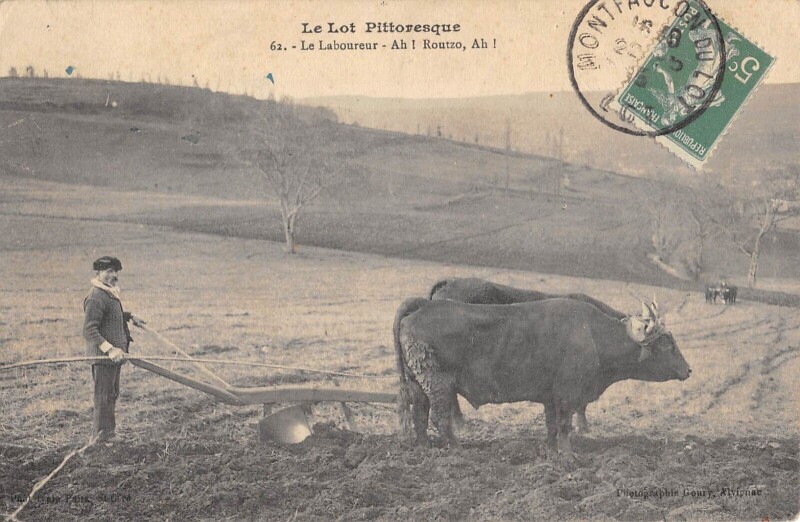 Carte postale ancienne Le Lot Le Laboureur Routzo