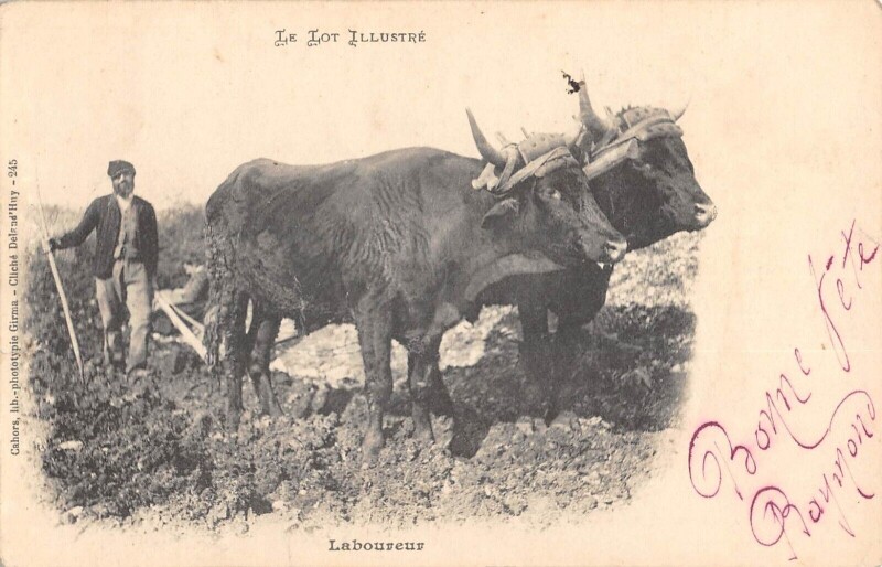 Carte postale ancienne Le Lot Laboureur