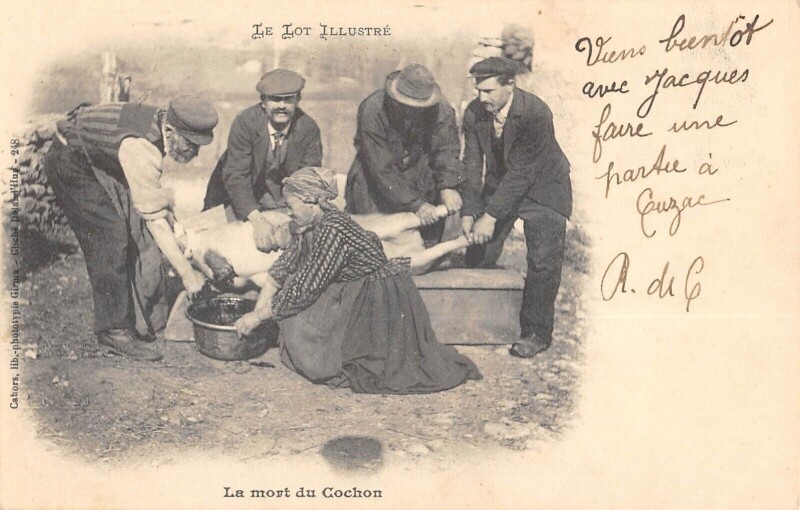 Carte postale ancienne Le Lot La Mort Du Cochon