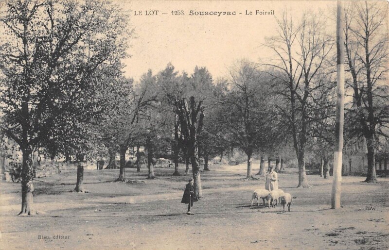 Carte postale ancienne Sousceyrac Le Foirail