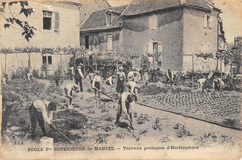 Carte postale ancienne Ecole Superieure De Martel Travaux Pratiques D'Horticulture - Cpa Rare à Martel