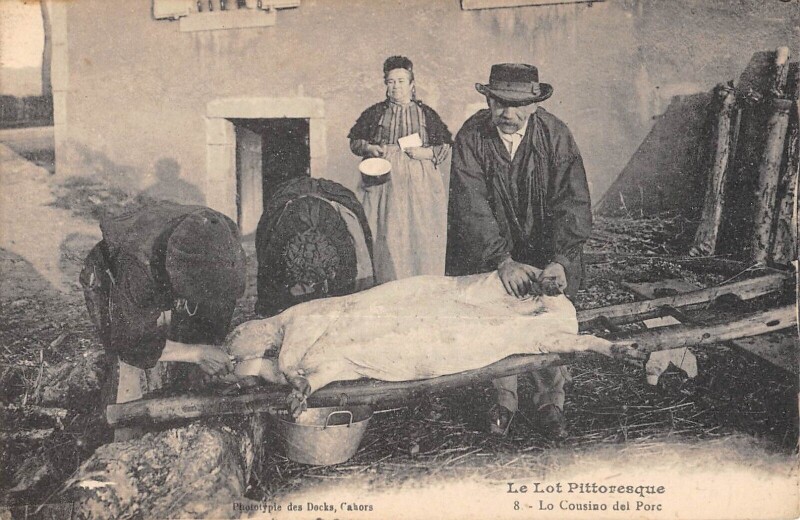 Carte postale ancienne Le Lot Lo Cousino Del Porc