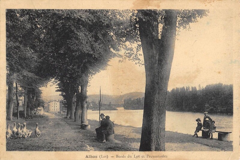 Carte postale ancienne Albas Bords Du Lot Et Promenade à Albas