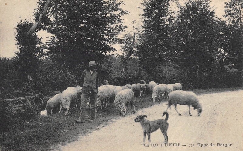 Carte postale ancienne Le Lot Illustre Type De Berger