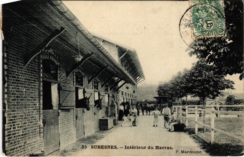 Carte postale ancienne Suresnes Interieur du Harras France à Suresnes