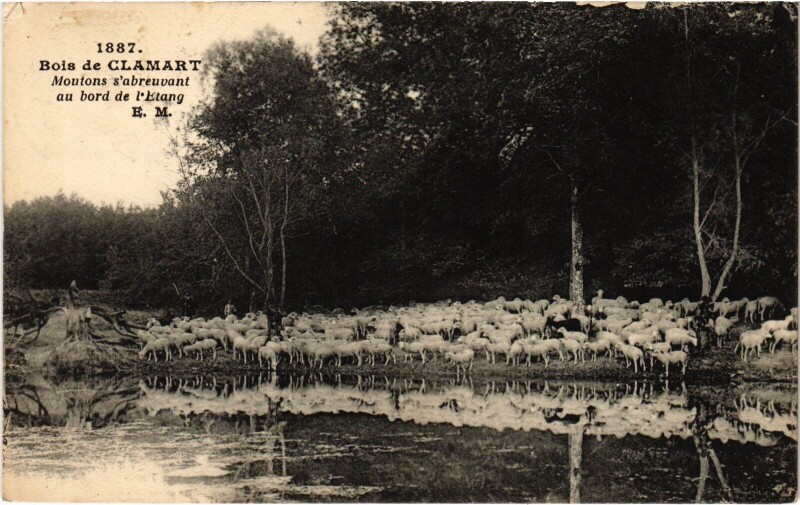 Carte postale ancienne Clamart Moutons s'abreuvant au bord de l'Etang France à Clamart