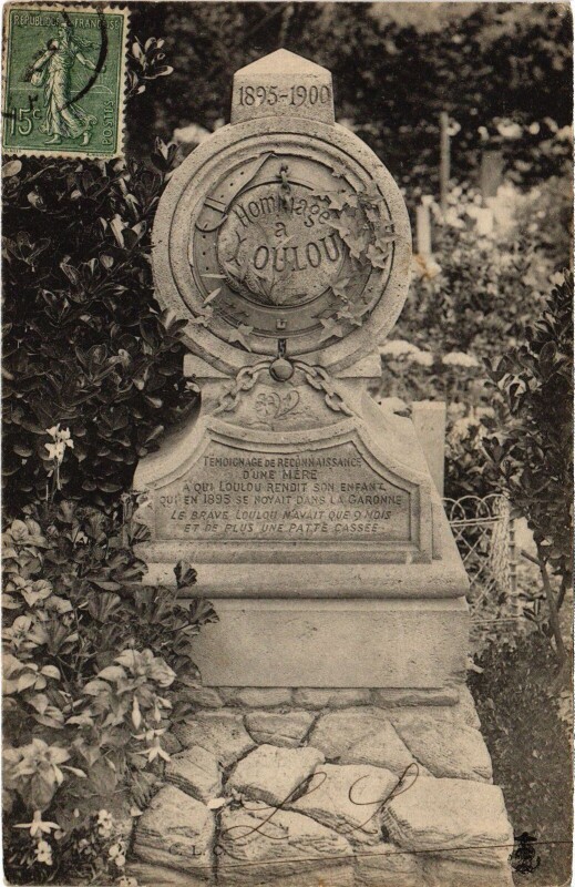 Carte postale ancienne Asnieres Cimetiere des Chiens France