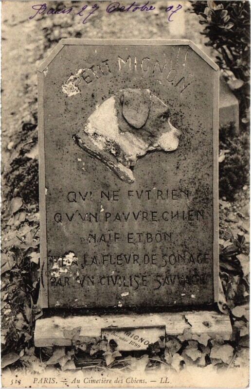 Carte postale ancienne Asnieres Cimetiere des Chiens France