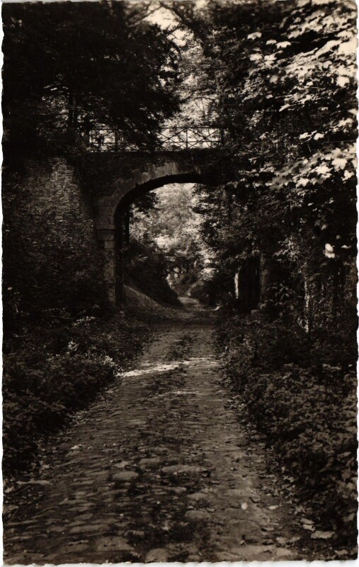 Carte postale ancienne Montsoult Pont d'Arcole France à Montsoult