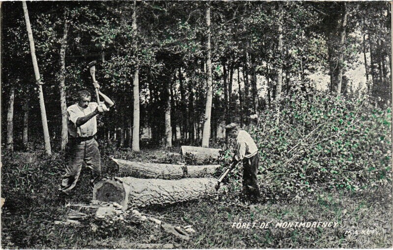 Carte postale ancienne Foret de Montmorency France à Montmorency
