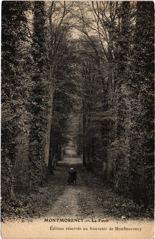 Carte postale ancienne Montmorency La Foret France à Montmorency
