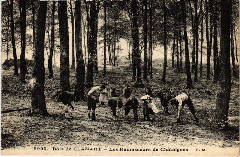 Carte postale ancienne Clamart Les Ramasseurs de Chataignes France à Clamart
