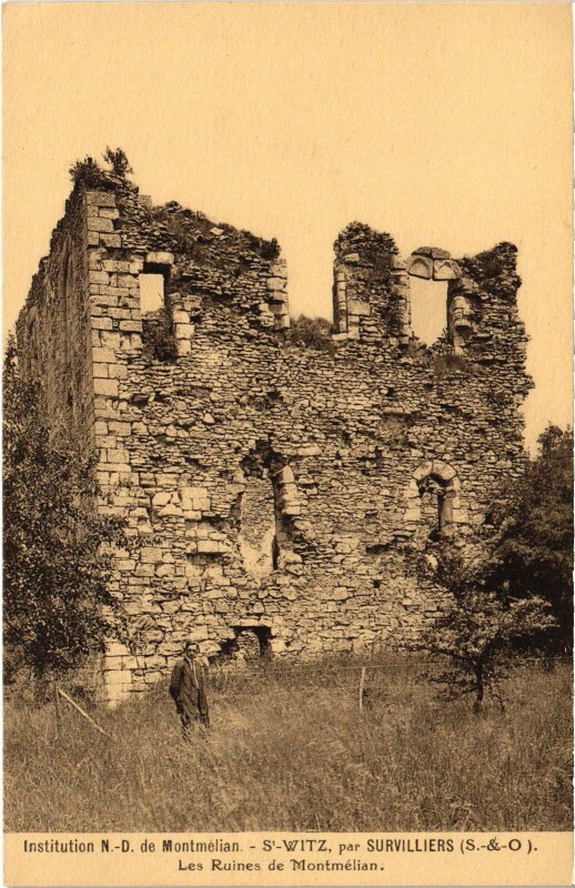 Carte postale ancienne Survilliers Les Ruines de Montmelian France à Survilliers
