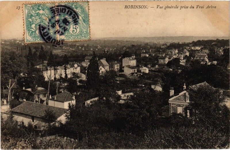 Carte postale ancienne Robinson Vue generale prise du Vrai Arbre France