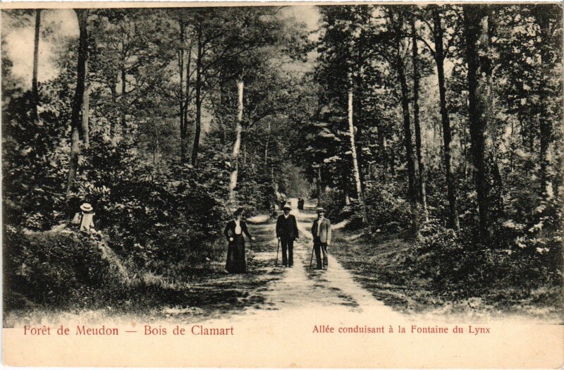 Carte postale ancienne Clamart Allee conduisant a la Fontaine du Lynx France à Clamart