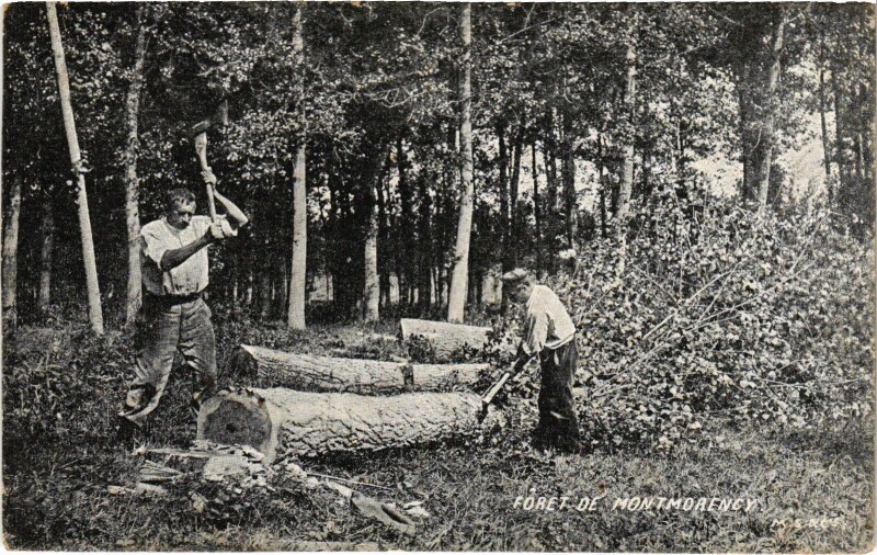 Carte postale ancienne Foret de Montmorency France à Montmorency
