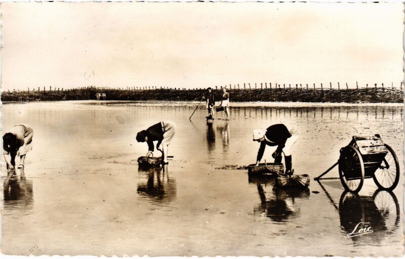 Carte postale ancienne Cherrueix Pecheuses de coques à Cherrueix