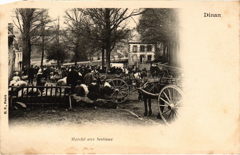 Carte postale ancienne Dinan marché aux bestiaux à Dinan