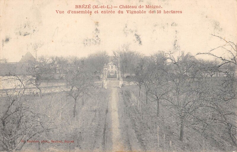 Carte postale ancienne Breze Chateau De Meigne