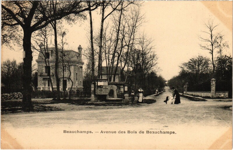 Carte postale ancienne Beauchamps Avenue des Bois France à Beauchamp
