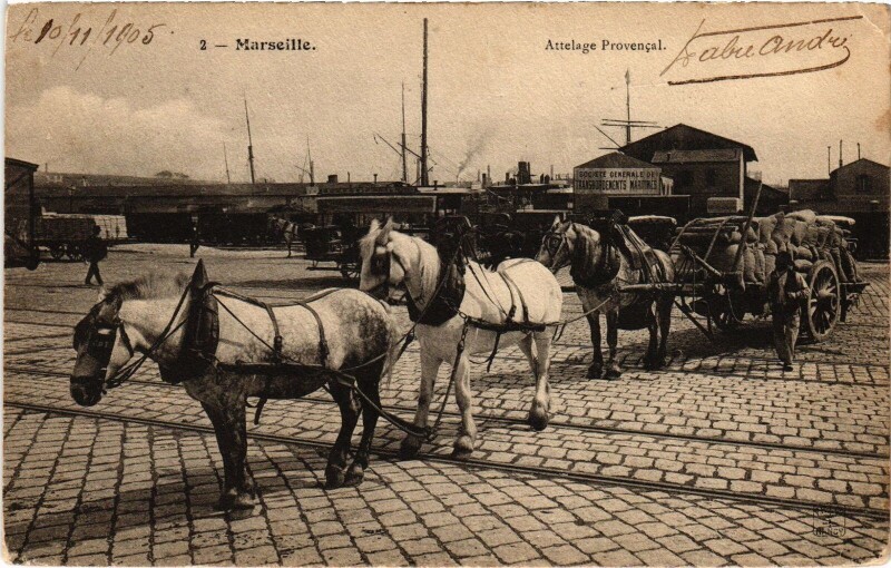Carte postale ancienne Marseille Attelage Provencal à Marseille