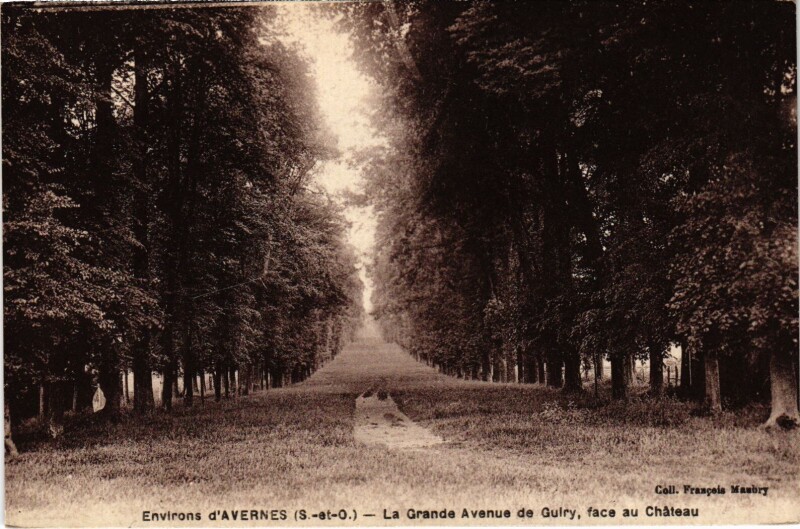 Carte postale ancienne Avernes La Grande Avenue de Guiry France à Avernes