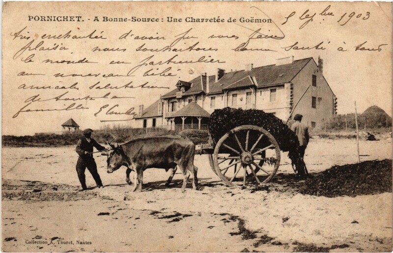 Carte postale ancienne Pornichet A Bonne-Source Charretée de Goemon à Pornic