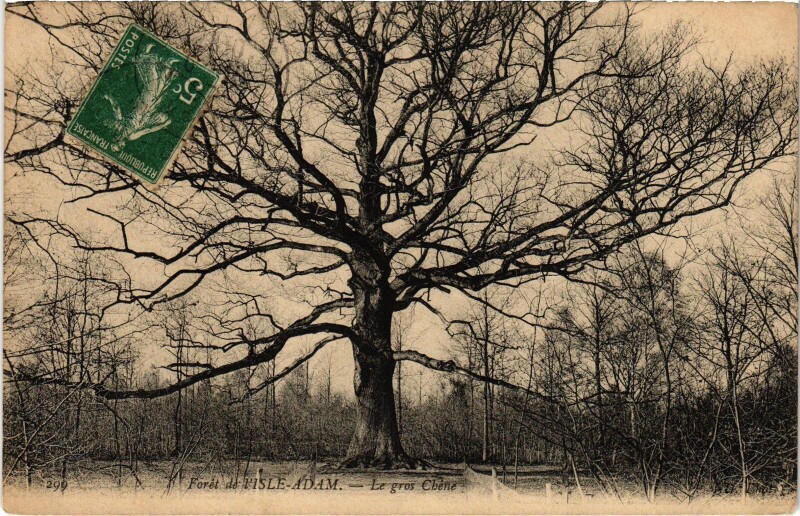 Carte postale ancienne L'Isle Adam Le Gros Chene France à L'Isle-Adam