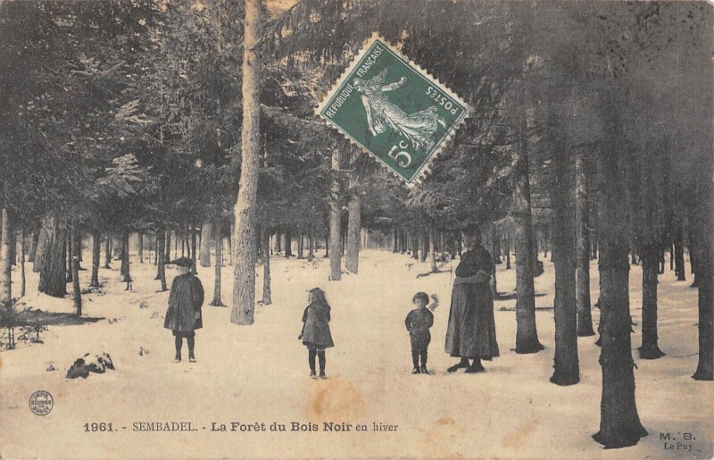 Carte postale ancienne Sembadel Foret Du Bois Noir En Hiver à Sembadel