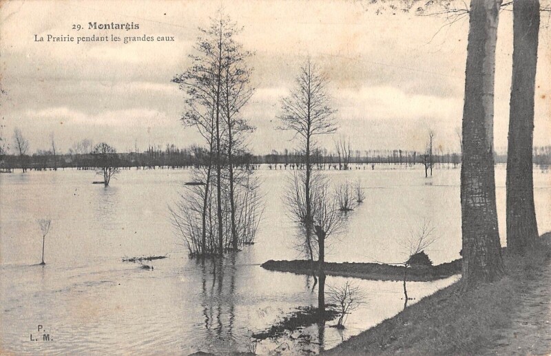 Carte postale ancienne Montargis La Prairie Pendant Les Grandes Eaux à Montargis