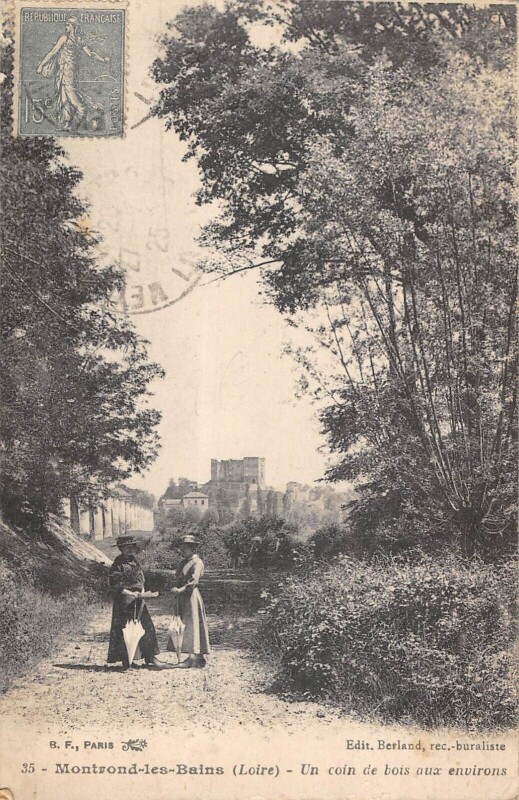 Carte postale ancienne Montrond Les Bains Un Coin De Bois Aux Environs à Montrond-les-Bains