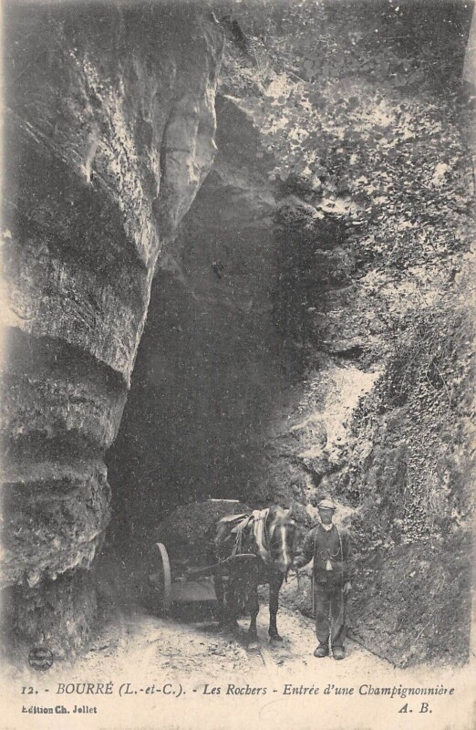 Carte postale ancienne Bourre Les Rochers Entree D'Une Champignonniere