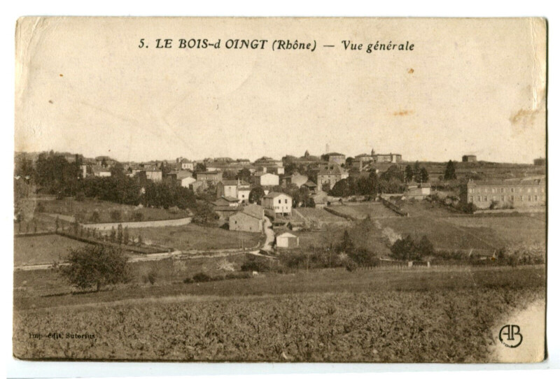 Carte postale ancienne Rhône Le Bois d'Oingt Vue générale