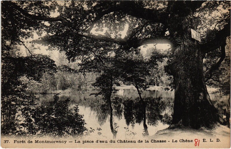 Carte postale ancienne Montmorency La piece d'eau du Chateau France à Montmorency