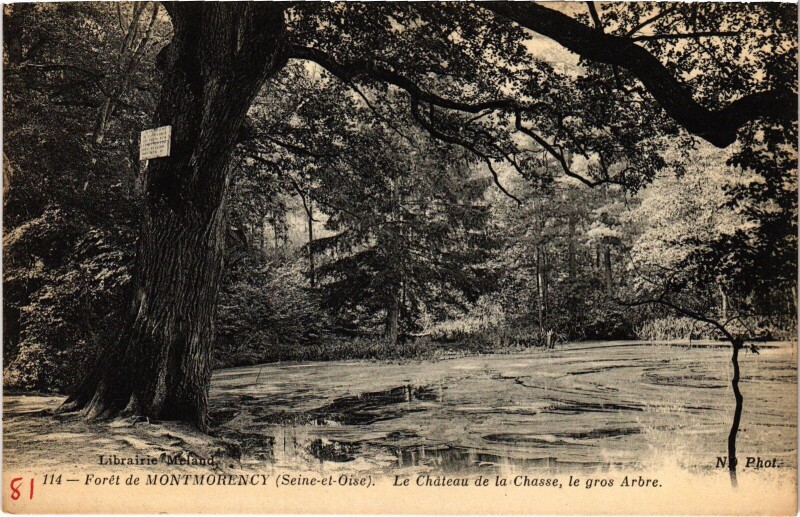 Carte postale ancienne Montmorency Le Chateau de la Chasse France à Montmorency