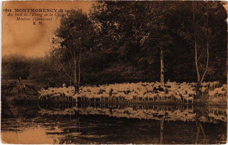 Carte postale ancienne Montmorency Au bord de l'Etang de la Chasse France à Montmorency