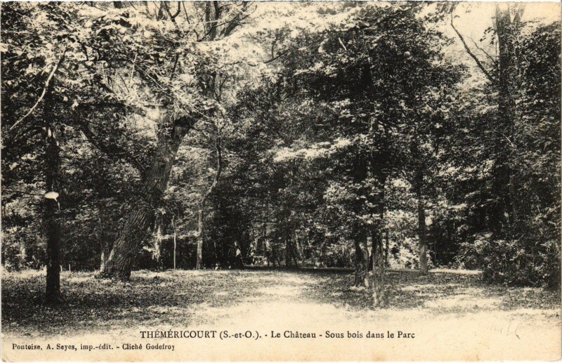 Carte postale ancienne Themericourt Le Chateau-Sous bois dans le Parc France