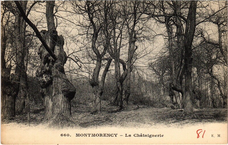 Carte postale ancienne Montmorency La Chataignerie France à Montmorency