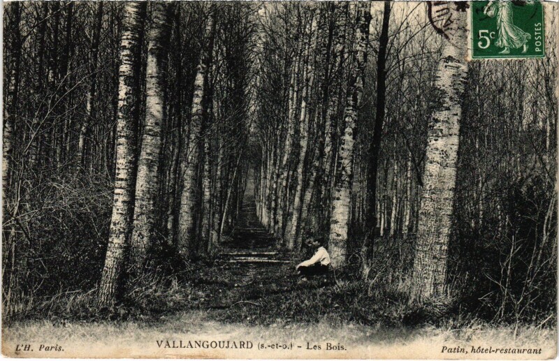 Carte postale ancienne Vallangoujard Les Bois France à Vallangoujard