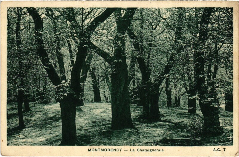 Carte postale ancienne Montmorency La Chataigneraie France à Montmorency